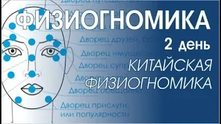 ФИЗИОГНОМИКА. 2 день обучения