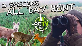 S&C TV | Deer management with Chris Rogers 17 | 3 species, 8 deer all day hunt