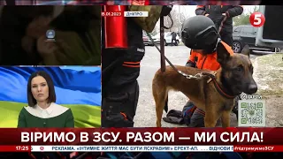 🐕‍🦺 "22 години тривали роботи, стало зле": як собаки допомагали знайти людей під завалами у Дніпрі