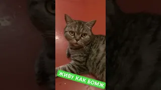 ЖИВУ КАК БОМЖ