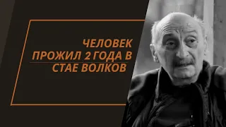 Повелитель ВОЛКОВ. Культовый учёный Ясон Бадридзе.