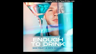 Sam Feldt & Cate Downey - Enough To Drink (Firebeatz Extended Remix)