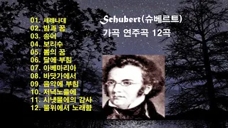 ♣Schubert(슈베르트) 가곡 연주곡 12곡 모음♣