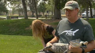 Owner reacts after alligator bites hand of handler