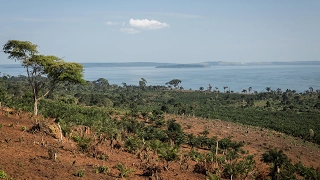 ZIWA VICTORIA promo 1 Searching for Fish