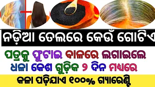 Odia Gk Questions And Answers || General Knowledge Odia || Gk In Odia || Gk ||