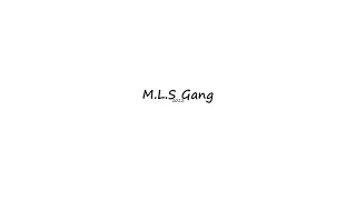 M.L.S - Gang (prod.diito) #PolishDrill