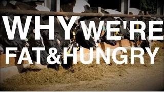 Why we get Fat AND Hungry | (Biology of Weight Gain & Low-Carb )