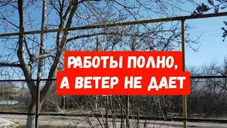 #350РАБОТЫ ПОЛНО,А ВЕТЕР НЕ ДАЕТ/ЖИЗНЬ НА ЮГЕ