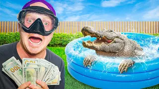 Would You Swim With Gators for $10,000?