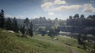 Red Dead Redemption 2 1080p Blurry Image SIMPLE FIX - NO FPS LOSS!