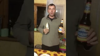 Видео урок по употреблению Вобла под Волжское пиво