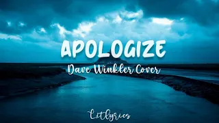Apologize - Timbaland | Dave Winkler Cover (Lyrics)