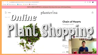 Buying Planterina Houseplants | Buying Indoor Plants Online Planterina Indoor Plants Online Shopping