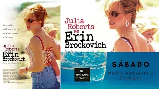 Erin Brockovich - Comentario