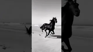 Прекрасное создание Всевышнего❤️ #лошади #дагестан #кавказ #ислам