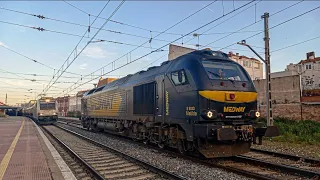 Tarde de trenes en Alcázar de San Juan. Renfe, Medway y Transfesa