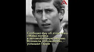 «Мама позвонит»: принц Гарри о том, как пережил смерть Дианы