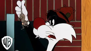 Looney Tunes Super Stars: Sylvester & Hippety Hopper | Mouse Fishing | Warner Bros. Entertainment