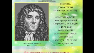 Биология 5 класс Подцарство одноклеточные