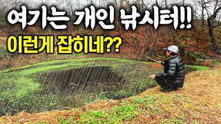 30평짜리 작은 개인 낚시터. 우중 낚시로 이런 녀석이 나온다고?  이런 물고기 보신 분?