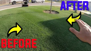 REEL Nice Mow | Mowing Bermudagrass at 1/2"