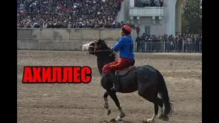 "Ахиллес"-лучшая лошадь в центральной азии!!!