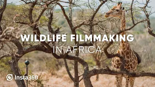 Behind the Scenes: Wildlife Filmmaking in the African Savannah