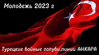 Молодежь 2023 г,игра линии АНКАРА