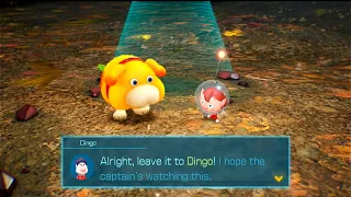 Dingo Saves The Night | Pikmin 4