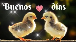 Buenos días.🌞Que tu día esté lleno de  bendiciones.💝Video corto y bonito.🌹Ten una gran  día.🍀