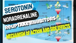 Serotonin Noradrenaline Reuptake Inhibitors ( SNRIs) - Mechanism of Action and Side effects
