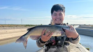 California aqueduct cat fishing