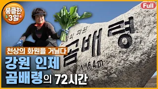 [풀영상] 첫사랑을 만난 것 같은 설렘 💓 야생화 천국 곰배령 🌼 다큐3일 ‘강원 인제 곰배령’ | KBS 방송