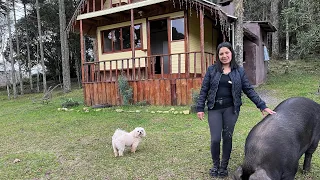 SÍTIO PEDACINHO DO CÉU EM BOM JARDIM SERRA