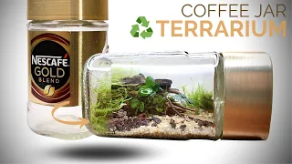 Turn an empty Nescafe jar into a terrarium (Recycle, Reuse, Repurpose)