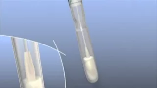 QUANTISWAB Surface sampling swab