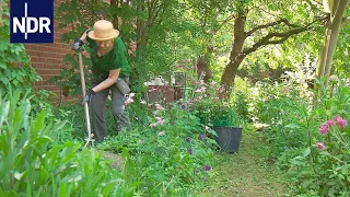 Guck mal, mein Garten! Hannovers Offene Pforten | die nordstory | NDR