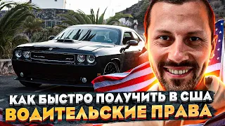 Как сдать на водительские права в США