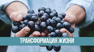 Видео приглашение на семинар "Трансформация жизни"