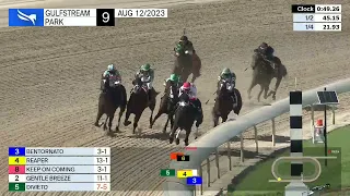 Gulfstream Park Carrera 9 (The Proud Man Stakes) - 12 de Agosto 2023