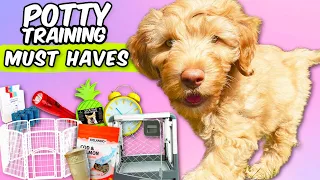 NEW PUPPY SHOPPING GUIDE 🙌 To Potty Train in 1 week!