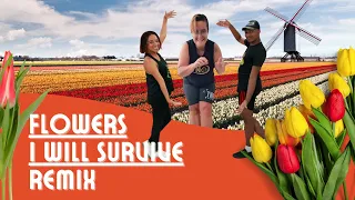 Flowers - I Will Survive | TNO Brasil 🇧🇷 | Coreografia