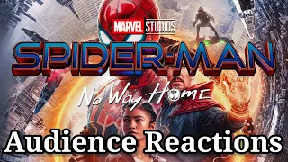 Spider-Man: No Way Home Audience Reactions From India (SPOILERS)