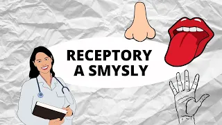 RECEPTORY A SMYSLY - Hmat, čich, chuť