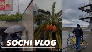 Sochi vlog: адлерский рынок, Скайпарк, Роза хутор, море и горы