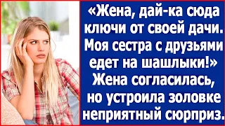 Жена, дай-ка сюда ключи от своей дачи. Моя сестра с друзьями на шашлыки поедет! Жизненные истории.