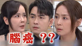 【天道】EP263預告 瑞安放不下靜玉捨身救命被車撞...珊珊哭著告白 晴天得了腦癌！將被迫放棄寶寶？│完全娛樂