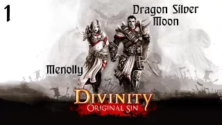 Прохождение Divinity: Original Sin CO-OP - Скелеты и ракушки #1