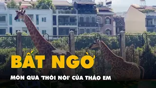 Món quà 'thôi nôi' bất ngờ của Thảo Em ở Thảo cầm viên Sài Gòn